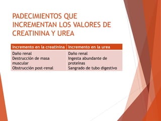 PADECIMIENTOS QUE
INCREMENTAN LOS VALORES DE
CREATININA Y UREA
Incremento en la creatinina Incremento en la urea
Daño renal
Destrucción de masa
muscular
Obstrucción post-renal
Daño renal
Ingesta abundante de
proteínas
Sangrado de tubo digestivo
 