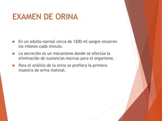 EXAMEN DE ORINA
 En un adulto normal cerca de 1200 ml sangre recorren
los riñones cada minuto.
 La secreción es un mecanismo donde se efectúa la
eliminación de sustancias nocivas para el organismo.
 Para el análisis de la orina se prefiera la primera
muestra de orina matinal.
 