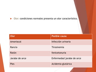 Olor: condiciones normales presenta un olor característico.
Olor Posible causa
Amoniacal Infección urinaria
Rancio Tirosinemia
Ratón fenicetonuria
Jarabe de arce Enfermedad jarabe de arce
Pies Acidemia glutárica
 