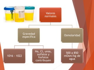 Valores
normales
Gravedad
específica
1016 - 1022
Na, Cl, urea,
sulfatos y
fosfatos
contribuyen
Osmolaridad
500 a 850
mOsm/kg de
agua
 
