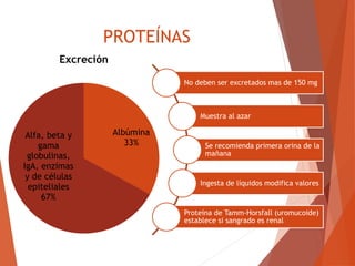 PROTEÍNAS
Albúmina
33%
Alfa, beta y
gama
globulinas,
IgA, enzimas
y de células
epiteliales
67%
Excreción
No deben ser excretados mas de 150 mg
Muestra al azar
Se recomienda primera orina de la
mañana
Ingesta de líquidos modifica valores
Proteína de Tamm-Horsfall (uromucoide)
establece si sangrado es renal
 