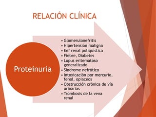 RELACIÓN CLÍNICA
• Glomerulonefritis
• Hipertensión maligna
• Enf renal poliquística
• Fiebre, Diabetes
• Lupus eritematoso
generalizado
• Síndrome nefrótico
• Intoxicación por mercurio,
fenol, opiaceos
• Obstrucción crónica de vía
urinarias
• Trombosis de la vena
renal
Proteinuria
 