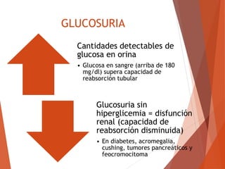 GLUCOSURIA
Cantidades detectables de
glucosa en orina
• Glucosa en sangre (arriba de 180
mg/dl) supera capacidad de
reabsorción tubular
Glucosuria sin
hiperglicemia = disfunción
renal (capacidad de
reabsorción disminuida)
• En diabetes, acromegalia,
cushing, tumores pancreáticos y
feocromocitoma
 