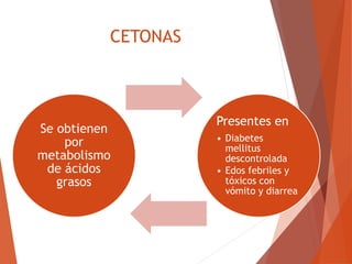 CETONAS
Se obtienen
por
metabolismo
de ácidos
grasos
Presentes en
• Diabetes
mellitus
descontrolada
• Edos febriles y
tóxicos con
vómito y diarrea
 
