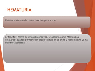 HEMATURIA
Presencia de mas de tres eritrocitos por campo.
Eritrocitos: forma de discos bicóncavos, se observa como “fantasmas
celulares” cuando permanecen algún tiempo en la orina y hemoglobina ya ha
sido metabolizada.
 