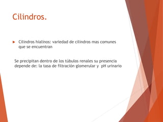 Cilindros.
 Cilindros hialinos: variedad de cilindros mas comunes
que se encuentran
Se precipitan dentro de los túbulos renales su presencia
depende de: la tasa de filtración glomerular y pH urinario
 