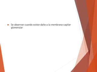  Se observan cuando existe daño a la membrana capilar
glomerular
 