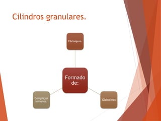 Cilindros granulares.
Formado
de:
Fibrinógeno.
Globulinas
Complejos
inmunes.
 