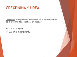 CREATININA Y UREA
Creatinina es el producto metabólico de la desfosforilación
de la creatina (fosfocreatina) en músculo
M= 0.5 a 1.1 mg/dL
H= 0.6 (7) a 1.2 (4) mg/dL
 