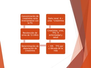 Concentración de
creatinina varia
inversamente con
la FG
Recolección de
orina de 12-24hrs
Determinación de
depuración de
creatinina
< 10% TFG por
c/década de la
vida
Creatinina, urea,
TFG 
enfermedad y
salud
Daño renal  >
urea- *creatinina
 