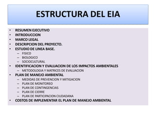 estudio-del-ambiente-pptx