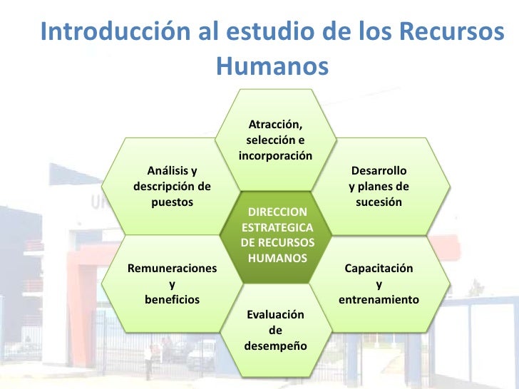 Introducción al estudio de los recursos humanos y gestión por compete…