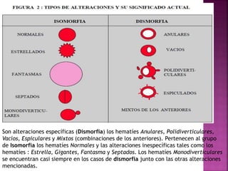 estudio-del-sedimento-pptx