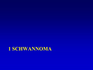 1 SCHWANNOMA