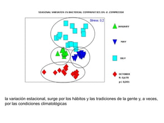 la variación estacional, surge por los hábitos y las tradiciones de la gente y, a veces,
por las condiciones climatológicas
 