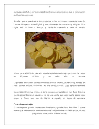10
aunque parece haber coincidencia sobre este origen algunos dicen que lo comenzaron
a utilizar los polinesios.
Se sabe que se usa desde entonces porque se han encontrado representaciones del
camote en objetos arqueológicos y restos de raíces en tumbas muy antiguas. En el
siglo XVI se llevo a Europa y desde ahí se extendió a todo el mundo.
China suple el 80% del mercado mundial siendo este el mayor productor. Se cultiva
en 82 países distintos y en todos ellos se consume
La pulpa es de distintos colores entre ellos: blanco, amarillo, anaranjado y morado. En
Perú existen muchas variedades de este tubérculo unas 2016 aproximadamente.
Su composición es muy similar a la de la papa aunque su sabor es mas dulce debido a
su alta concentración de azucares. No es una planta que crece mucho posee hojas
granes y flores que van de blanco a morado en forma de campana.
Contra la desnutrición
El camote posee grandes propiedades alimenticias y gran facilidad de cultivo. Es por tal
motivo que ha sido usado en el desarrollo de campañas contra la desnutrición, incluso
por parte de instituciones internacionales.
 