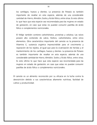 33
los cartílagos, huesos y dientes. La presencia de Potasio es también
importante de resaltar en esta especie, además de una considerable
cantidad de Hierro, Almidón, Sodio y Ácido fólico, entre otras. Es esto último
lo que hace que esta especie sea recomendada para las mujeres en estado
de gestación, en caso que estas no puedan consumir pastillas de ácido
fólico o complementos nutricionales.
El follaje también contiene carbohidratos, proteínas y celulosa. Las raíces
poseen alto contenido de calcio, fósforo, carbohidratos, entre otros
elementos. Otra característica importante del camote es la presencia de
Vitamina C, sustancia orgánica imprescindible para el crecimiento y
reparación de los tejidos, al igual que para la cicatrización de heridas y el
mantenimiento de los cartílagos, huesos y dientes. La presencia de Potasio
es también importante de resaltar en esta especie, además de una
considerable cantidad de Hierro, Almidón, Sodio y Ácido fólico, entre otras.
Es esto último lo que hace que esta especie sea recomendada para las
mujeres en estado de gestación, en caso que estas no puedan consumir
pastillas de ácido fólico o complementos nutricionales.
El camote es un alimento reconocido por su eficacia en la lucha contra la
desnutrición debido a sus características altamente nutritivas, facilidad de
cultivo y productividad.
 