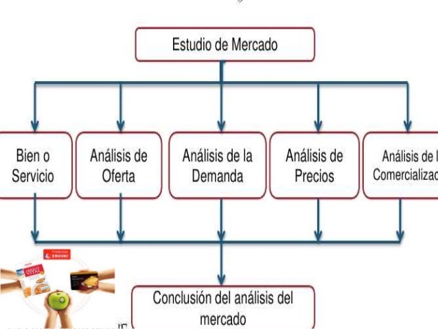 Estudio de mercado de un proyecto...... LORENA AGUIRRE MENDEZ