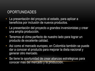 OPORTUNIDADES 
• La presentación del proyecto al estado, para aplicar a 
beneficios por inclusión de nuevos productos. 
• La presentación del proyecto a grandes inversionistas y crear 
una amplia producción. 
• Tenemos el clima perfecto de nuestro lado para lograr un 
producto de excelente calidad. 
• Asi como el mercado europeo, en Colombia también se puede 
dar a conocer el producto para mejorar la dieta nacional y 
generar otro mercado. 
• Se tiene la oportunidad de crear alianzas estratégicas para 
conocer mas del mercado y la producción. 
 
