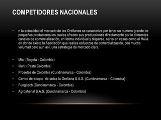 COMPETIDORES NACIONALES 
• n la actualidad el mercado de las Orellanas se caracteriza por tener un numero grande de 
pequeños productores los cuales ofrecen sus producciones directamente por lo diferentes 
canales de comercialización, en forma individual y dispersa, salvo en casos como el Huila 
en donde existe la Asociación que realiza esfuerzos de comercialización, con mucha 
voluntad pero aun así, una estrategia de mercado clara. 
• Mla: (Bogotá - Colombia) 
• Illari: (Pasto Colombia) 
• Prosetas de Colombia (Cundinamarca - Colombia) 
• Centro de acopio de setas la Orellana S.A.S. (Cundinamarca - Colombia) 
• Fungitech (Cundinamarca - Colombia) 
• Agroshenal S.A.S. (Cundinamarca - Colombia) 
 
