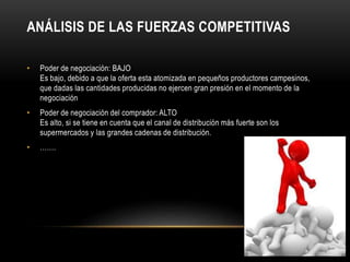 ANÁLISIS DE LAS FUERZAS COMPETITIVAS 
• Poder de negociación: BAJO 
Es bajo, debido a que la oferta esta atomizada en pequeños productores campesinos, 
que dadas las cantidades producidas no ejercen gran presión en el momento de la 
negociación 
• Poder de negociación del comprador: ALTO 
Es alto, si se tiene en cuenta que el canal de distribución más fuerte son los 
supermercados y las grandes cadenas de distribución. 
• ……. 
 