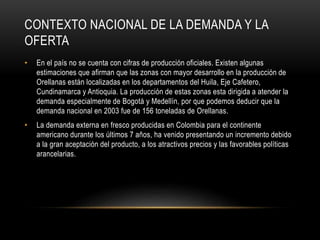 CONTEXTO NACIONAL DE LA DEMANDA Y LA 
OFERTA 
• En el país no se cuenta con cifras de producción oficiales. Existen algunas 
estimaciones que afirman que las zonas con mayor desarrollo en la producción de 
Orellanas están localizadas en los departamentos del Huila, Eje Cafetero, 
Cundinamarca y Antioquia. La producción de estas zonas esta dirigida a atender la 
demanda especialmente de Bogotá y Medellín, por que podemos deducir que la 
demanda nacional en 2003 fue de 156 toneladas de Orellanas. 
• La demanda externa en fresco producidas en Colombia para el continente 
americano durante los últimos 7 años, ha venido presentando un incremento debido 
a la gran aceptación del producto, a los atractivos precios y las favorables políticas 
arancelarias. 
 