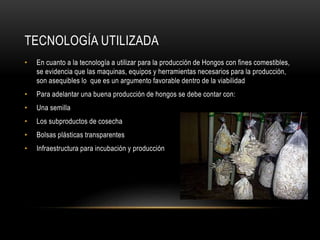 TECNOLOGÍA UTILIZADA 
• En cuanto a la tecnología a utilizar para la producción de Hongos con fines comestibles, 
se evidencia que las maquinas, equipos y herramientas necesarios para la producción, 
son asequibles lo que es un argumento favorable dentro de la viabilidad 
• Para adelantar una buena producción de hongos se debe contar con: 
• Una semilla 
• Los subproductos de cosecha 
• Bolsas plásticas transparentes 
• Infraestructura para incubación y producción 
 