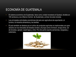 ECONOMÍA DE GUATEMALA 
• El sistema económico de Guatemala, tiene como unidad monetaria el Quetzal, dividido en 
100 centavos y es el Banco Central de Guatemala y emisor de esta moneda. 
• Las principales actividades económicas del país son agricultura de exportación, el 
turismo, la industria alimenticia y los textiles. 
• El país también se destaca por el cultivo de productos agrícolas no tradicionales con gran 
atractivo en los mercados de Estados Unidos y Europa como el brócoli, arveja china, col 
de brúcelas, ajonjolí, espárragos y chile. Por otra parte exporta camarones, langostas y 
calamares. 
 