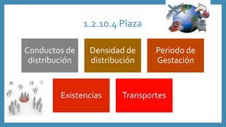 1.2.10.4 Plaza
Conductos de
distribución
Densidad de
distribución
Periodo de
Gestación
Existencias Transportes
 