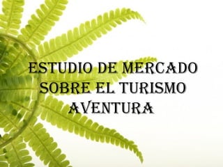 ESTUDIO DE MERCADO
SOBRE EL TURISMO
AVENTURA
 