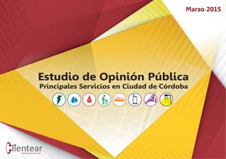 Estudio de Opinión Pública Servicios Córdoba
