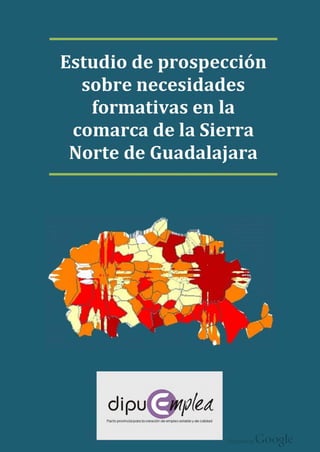 Estudio de prospeccion sobre necesidades formativas en la comarca de la sierra norte de guadalajara