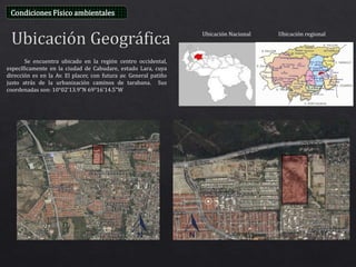 Se encuentra ubicado en la región centro occidental,
específicamente en la ciudad de Cabudare, estado Lara, cuya
dirección es en la Av. El placer, con futura av. General patiño
justo atrás de la urbanización caminos de tarabana. Sus
coordenadas son: 10°02'13.9"N 69°16'14.5"W
Ubicación Nacional Ubicación regional
Condiciones Físico ambientales
 