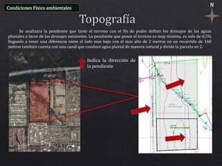N
Se analizara la pendiente que tiene el terreno con el fin de poder definir los drenajes de las aguas
pluviales a favor de los drenajes existentes. La pendiente que posee el terreno es muy mínima, es solo de 0,5%
llegando a tener una diferencia entre el lado mas bajo con el mas alto de 2 metros en un recorrido de 160
metros también cuenta con una canal que conduce agua pluvial de manera natural y divide la parcela en 2.
Indica la dirección de
la pendiente
Condiciones Físico ambientales
 