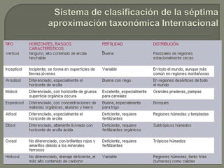 Calicatas en sector cercanos a Vicuña 