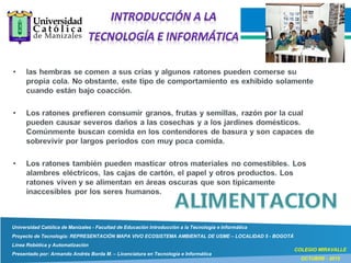 Universidad Católica de Manizales - Facultad de Educación Introducción a la Tecnología e Informática
Proyecto de Tecnología: REPRESENTACIÓN MAPA VIVO ECOSISTEMA AMBIENTAL DE USME – LOCALIDAD 5 - BOGOTÁ
Línea Robótica y Automatización
Presentado por: Armando Andrés Borda M. – Licenciatura en Tecnología e Informática
COLEGIO MIRAVALLE
OCTUBRE - 2015
 