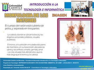 Universidad Católica de Manizales - Facultad de Educación Introducción a la Tecnología e Informática
Proyecto de Tecnología: REPRESENTACIÓN MAPA VIVO ECOSISTEMA AMBIENTAL DE USME – LOCALIDAD 5 - BOGOTÁ
Línea Robótica y Automatización
Presentado por: Armando Andrés Borda M. – Licenciatura en Tecnología e Informática
COLEGIO MIRAVALLE
OCTUBRE - 2015
 