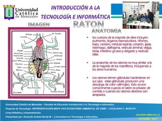 Universidad Católica de Manizales - Facultad de Educación Introducción a la Tecnología e Informática
Proyecto de Tecnología: REPRESENTACIÓN MAPA VIVO ECOSISTEMA AMBIENTAL DE USME – LOCALIDAD 5 - BOGOTÁ
Línea Robótica y Automatización
Presentado por: Armando Andrés Borda M. – Licenciatura en Tecnología e Informática
COLEGIO MIRAVALLE
OCTUBRE - 2015
 