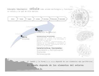 Concepto Ideológico:  célula como unidad morfológica y funcional. 
La célula y lo que de ella deriva: 



    Célula        Tejidos     órganos    sistemas     individuos    Poblaciones    comunidades 




                             Comunidades 

                                            Macro 
                                            Complejo Residencial 
              Célula 
                                           Características Estructurales: 
                        Micro              •  ndividualidad:  entre  los  usuarios,  las 
                                            I
                        Vivienda           ti[pologías  de  vivienda  y  las  actividades  a 
                                           desarrolar en cada zona. 
                                           •  ctivo  y  Dinámico:  desenvolvimiento  del 
                                            A
                                           complejo  en  sí  respondendo  a  circulación  y 
                                           organización  espacial;  ibterrelación  entre  los 
                                           usuarios y las actividades. 

                                           Características funcionales: 
                                           •  recimiento y Multiplicación 
                                            C
                                           •  volución 
                                            E
                                           •  iferenciación 
                                            D



                              El tamaño y la forma de las células depende de sus elementos más periféricos. 

                              El tamaño depende de los elementos del entorno. 
 