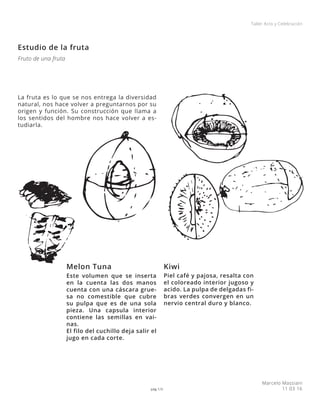 pág 1/3
Marcelo Massiani
11 03 16
Taller Acto y Celebración
Fruto de una fruta
Estudio de la fruta
La fruta es lo que se nos entrega la diversidad
natural, nos hace volver a preguntarnos por su
origen y función. Su construcción que llama a
los sentidos del hombre nos hace volver a es-
tudiarla.
Este volumen que se inserta
en la cuenta las dos manos
cuenta con una cáscara grue-
sa no comestible que cubre
su pulpa que es de una sola
pieza. Una capsula interior
contiene las semillas en vai-
nas.
El filo del cuchillo deja salir el
jugo en cada corte.
Piel café y pajosa, resalta con
el coloreado interior jugoso y
acido. La pulpa de delgadas fi-
bras verdes convergen en un
nervio central duro y blanco.
Melon Tuna Kiwi
 