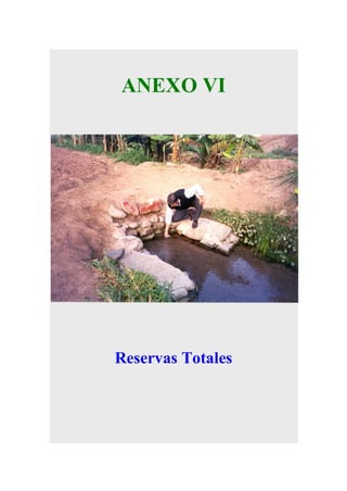 ANEXO VI

Reservas Totales

 