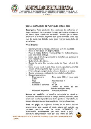 |
“AMPLIACION Y MEJORAMIENTO DEL SERVICIO EDUCATIVO DE LA I.E. N°
64842 DEL CASERÍO PUEBLO NUEVO -DISTRITO DE IRAZOLA – PADRE ABAD
- UCAYALI”.
MUNICIPALIDAD DISTRITAL DE IRAZOLA- PROVINCIA PADRE ABAD- DEPARTAMENTO DE
UCAYALI
02.01.03 INSTALACION DE PLANTONES (FICUS) C/2M
Descripción: Toda plantación debe realizarse de preferencia en
época de invierno, para garantizar un buen prendimiento, si es época
de verano regar cuando sea necesario. Errores que se deben
evitarse en el momento de plantar son: planta inclinada, cuello bajo
nivel del suelo, raíz doblada, cuello sobre nivel del suelo, bolsa de
aire a la raíz.
Procedimiento:
 Coronar y limpiar la maleza por lo menos un metro cuadrado.
 Hacer un hoyo de 30 cm. de profundidad.
 Poner la mezcla de tierra + humus (1 kg.) y/ o materia orgánica,
parte en el fondo del hoyo.
 Echar agua a la bolsa y compactar la tierra húmeda (para que la
tierra no desmorone)
 Quitar la bolsa del plástico.
 Colocar la planta bien derecha dentro del hoyo y al nivel del
suelo.
 Llenar el hoyo con la mezcla hasta el nivel original comprimiendo
el suelo alrededor para no dejar espacios vacíos.
 Finalmente apisonar para evitar bolsones de aire en la mezcla.
 Colocar una estaca a cada planta reforestada (señalización).
 Otras consideraciones:
- Distanciamiento : Ficus cada 5.00m y rosas cada
3.00m
- Hoyo : 0.30x0.30x0.30 m
- Plantación : Ficus
- Cantidad de plantones : 381 plt.
(Tamaño de 1.00m de alto,
diámetro de copa 0.80m)
- Protección del plantón : Cerco de protección
Método de medición: La superficie reforestada se medirá en
número de plantones instalados en campo definitivo; asimismo, debe
tenerse en cuenta el prendimiento de los plantones reforestados. El
trabajo deberá contar con la aprobación del Ingeniero Supervisor.
Base de pago: La superficie medida en la forma descrita
anteriormente, será pagada al precio unitario del contrato, por
plantones prendidos, para la partida INSTALACIÓN DE
PLANTONES, entendiéndose que dicho precio y pago
constituirá compensación total por toda mano de obra,
 