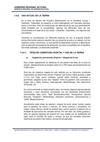 ESTUDIO IMPACTO AMBIENTAL.pdf