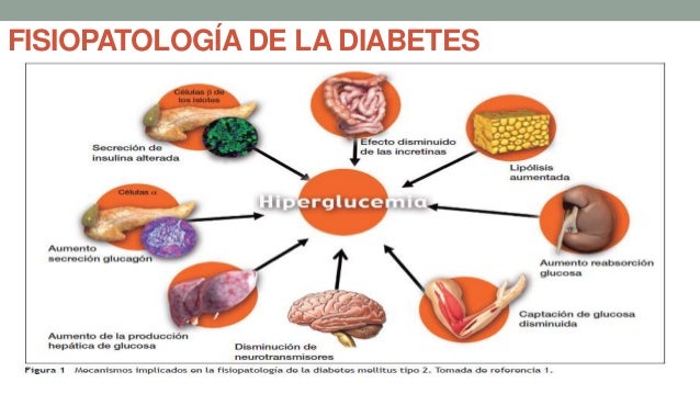 Estudio linagliptina Estudio linagliptina