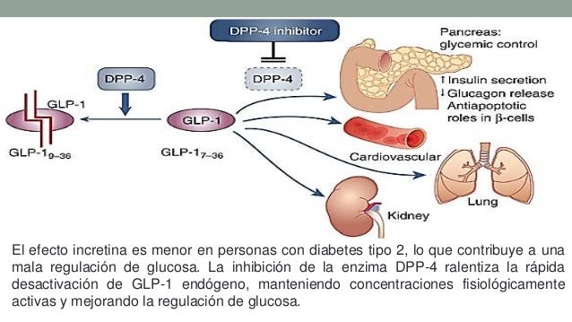 Estudio linagliptina Estudio linagliptina
