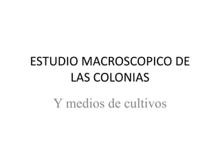 ESTUDIO MACROSCOPICO DE
LAS COLONIAS
Y medios de cultivos
 