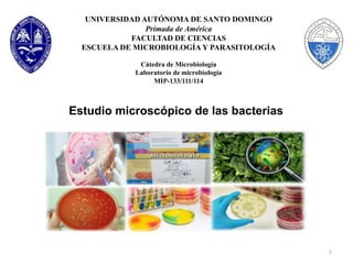 UNIVERSIDAD AUTÓNOMA DE SANTO DOMINGO
Primada de América
FACULTAD DE CIENCIAS
ESCUELA DE MICROBIOLOGÍA Y PARASITOLOGÍA
Cátedra de Microbiología
Laboratorio de microbiología
MIP-133/111/114
1
Estudio microscópico de las bacterias
 