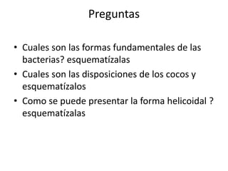 Preguntas
• Cuales son las formas fundamentales de las
bacterias? esquematízalas
• Cuales son las disposiciones de los cocos y
esquematízalos
• Como se puede presentar la forma helicoidal ?
esquematízalas
 