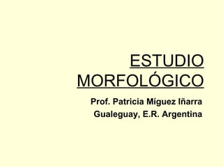 ESTUDIO
MORFOLÓGICO
Prof. Patricia Míguez Iñarra
Gualeguay, E.R. Argentina
 