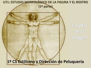 Chus Suárez
UT1: ESTUDIO MORFOLÓGICO DE LA FIGURA Y EL ROSTRO
(1ª parte)
1º CS Estilismo y Dirección de Peluquería
 